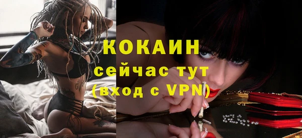 винт Елизово