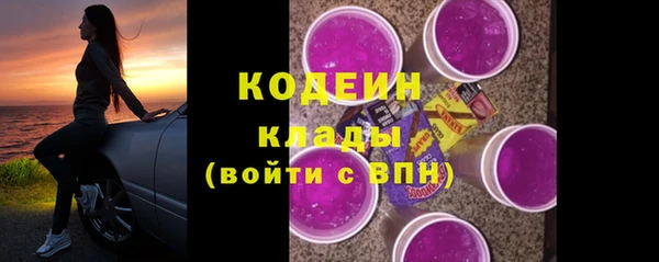 винт Елизово