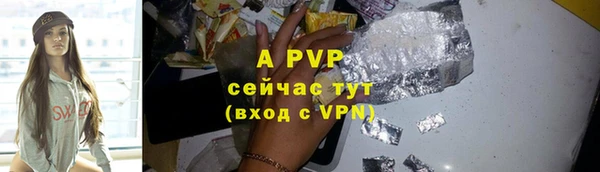 винт Ельня
