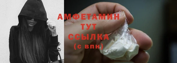 винт Ельня