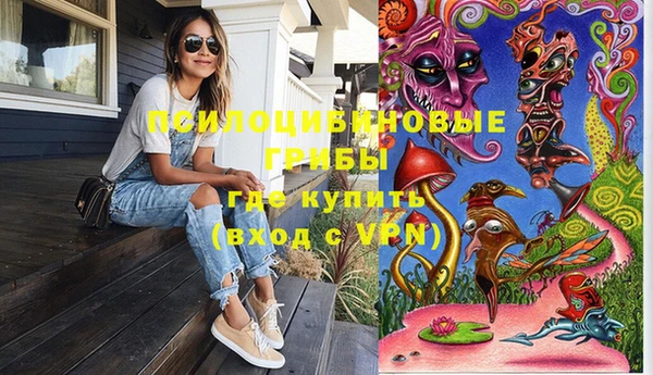 винт Ельня