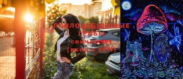 винт Елизово