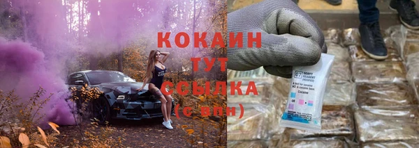винт Елизово