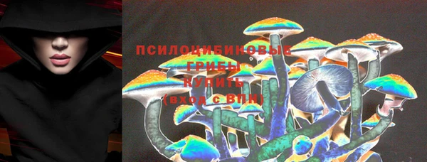 винт Ельня